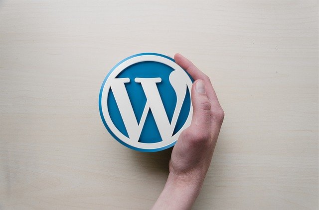 Bild, auf dem eine rechte Hand das Logo von WordPress (ein W) hält